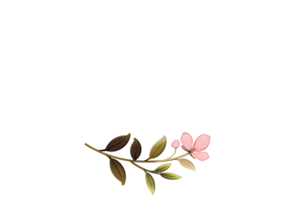 Lavue - Cafe & Restro